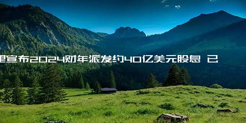 阿里宣布2024财年派发约40亿美元股息 已回购125亿美元股份